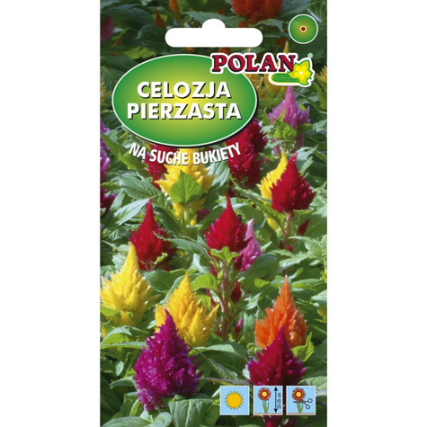 Celozja pierzasta niska mix kolorów 0,2g