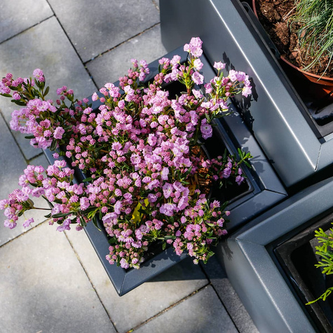 Donica Doniczka ogrodowa kwadratowa Mała 24cm Metalowa Grafitowa