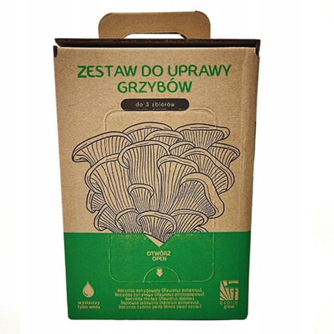Grzybnia Boczniak ostrygowaty 6L