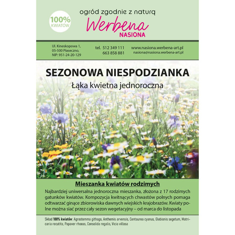 Łąka Kwietna Sezonowa Niespodzianka 2g mieszanka jednoroczna