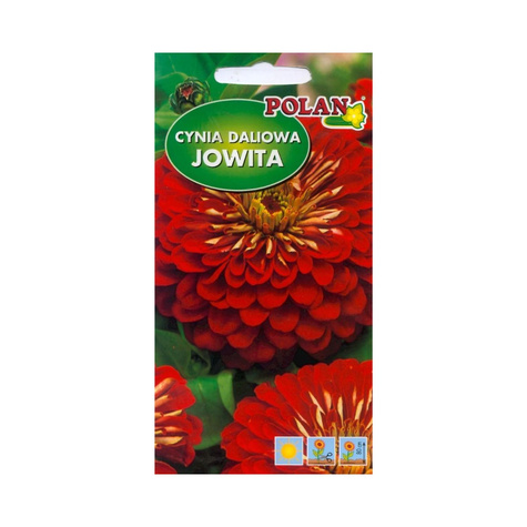 Cynia daliowa Jowita czerwona 1g Polan