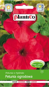 Petunia ogrodowa czerwona 0,05