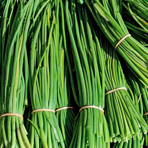 Szczypiorek Medium leaf - nasiona ekologiczne BIO