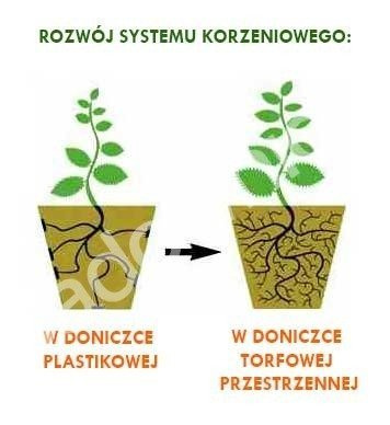 Doniczka torfowa kwadratowa 6x6cm