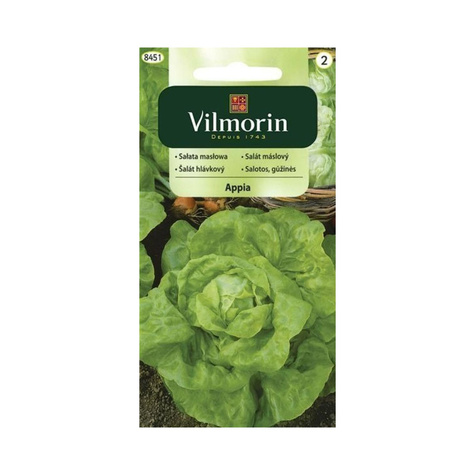 Sałata masłowa Appia średniopóźna 0,5g