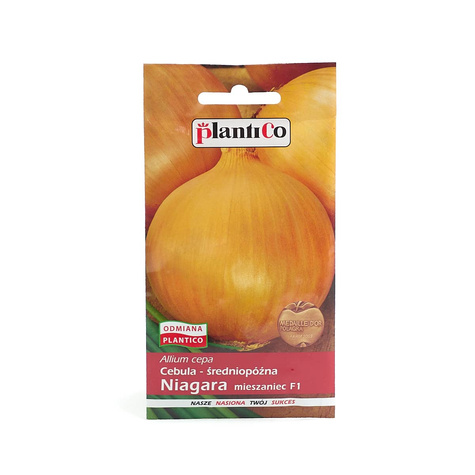 Cebula żółta Niagara F1 średniopóźna 5g