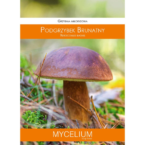 Grzybnia mikoryzowa Podgrzybek brunatny 60 ml