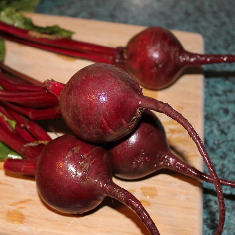 ZESTAW ALLEGRO Burak ćwikłowy Czerwona Kula 10+2g