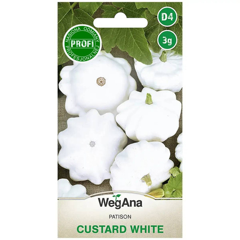 Dynia Zwyczajna Patison Custard White 3g WegAna