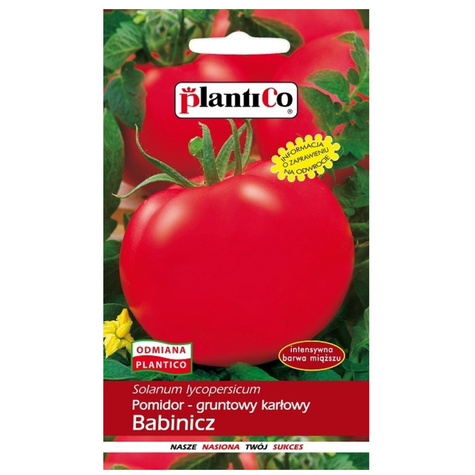 Pomidor gruntowy karłowy Babinicz 10g