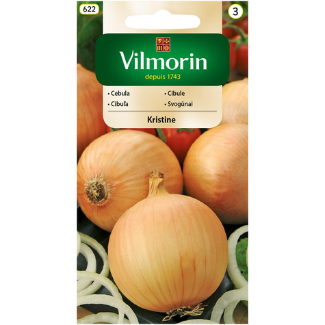 Cebula żółta Kristine średniowczesna 5g