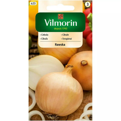 Cebula żółta Rawska średniowczesna 5g