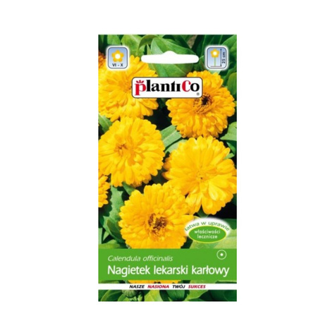 Nagietek lekarski niski żółty 2g