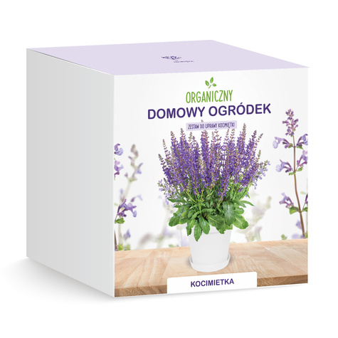 Zestaw do uprawy Kocimiętka w doniczce dla kota