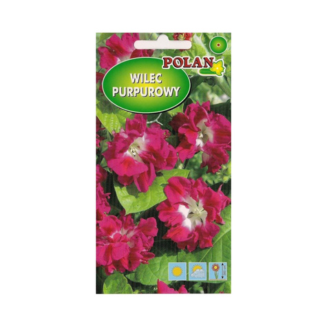 Wilec purpurowy Reffles różowy 2g Polan