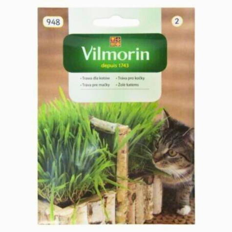 Trawa dla kotów 25g - mieszanka