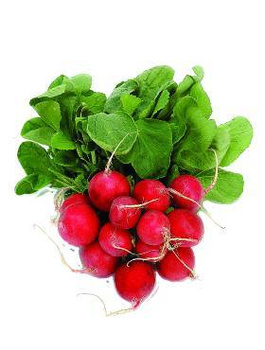 Rzodkiewka Salsa F1 tunel/grunt kulista czerwona 100g