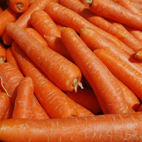 Marchew jadalna Delta późna 100g