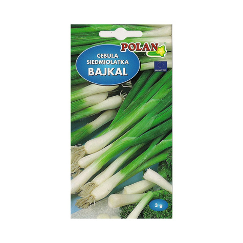 Cebula SIEDMIOLATKA BAJKAL 3g