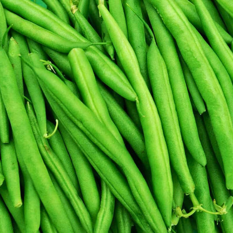 Fasola zwykła karłowa - szparagowa  Paulinera 55g