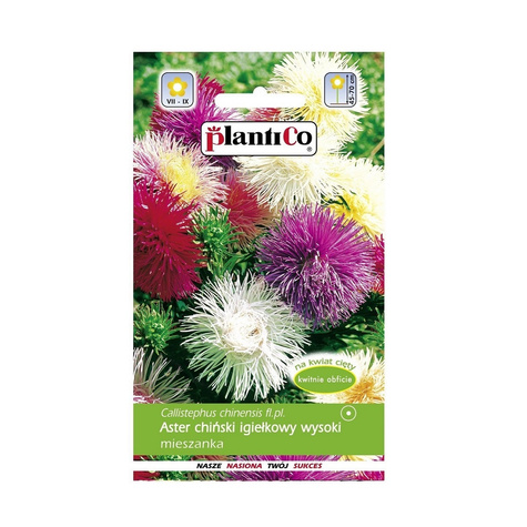 Aster chiński igiełkowy wysoki mieszanka 1g Plantico