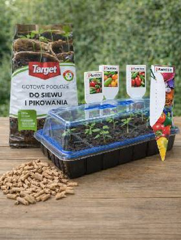 Zestaw Startowy Do Rozsady Z Miniszklarenką