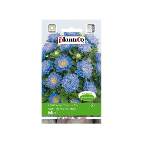 Aster chiński karłowy koszyczkowaty Mini niebieski 1g