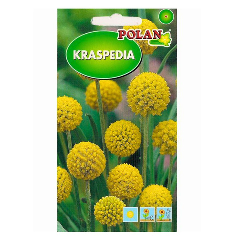 Kraspedia żółta 0,1g