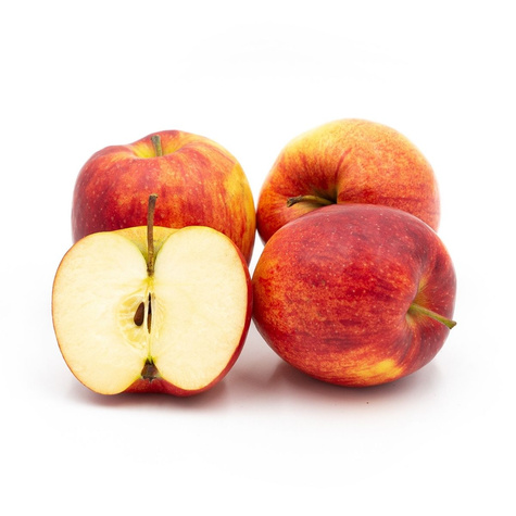 Jabłoń Rubin Plant Pack