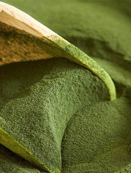Glony Chlorella 250g DUŻA PAKA mielone