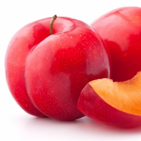 Śliwa japońska Gauota Plant Pack