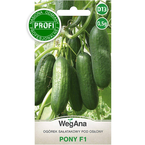 Ogórek sałatkowy Pony mieszaniec F1 0,5g WegAna