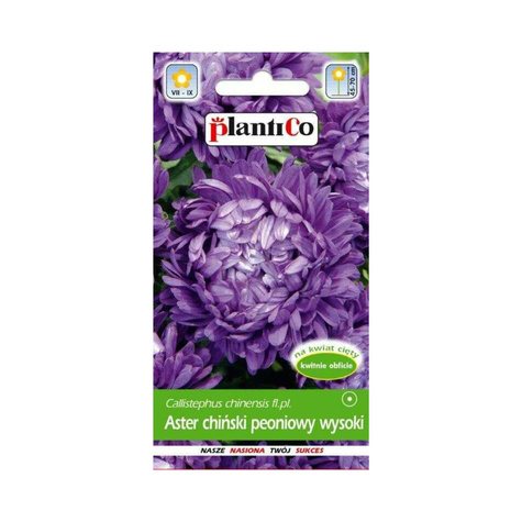 Aster chiński peoniowy wysoki fioletowy 1g