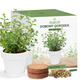 Zestaw do uprawy Majeranku Majeranek zioła na parapet