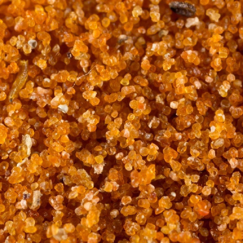 ARTEFEED 2,5 kg - pokarm dla dziubałeczka mączlikowego