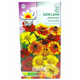 Dzielżan jesienny Helenium autumnale 0,1g