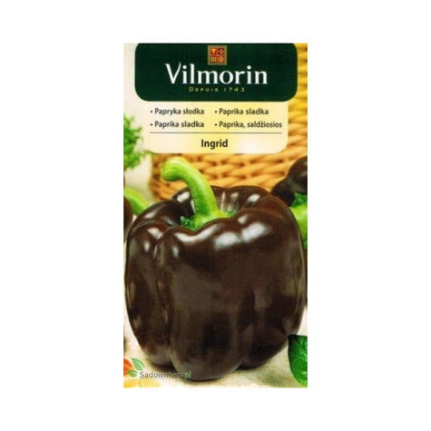 Papryka Ingrid słodka czekoladowa gruntowa po osłony 0,5g