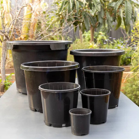 Doniczka produkcyjna 1L plastikowa szkółkarska