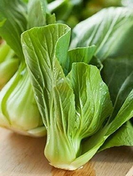 Kapusta chińska Pak CHoi 2g
