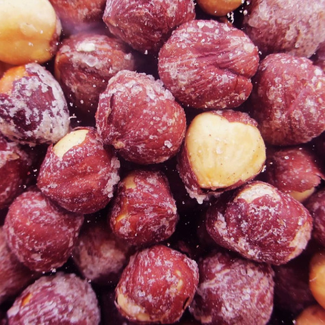 Orzech laskowy Lamberta czerwony Plant Pack