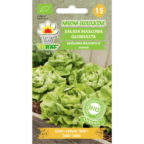 BIO Sałata masłowa głowiasta Królowa Majowych 1g