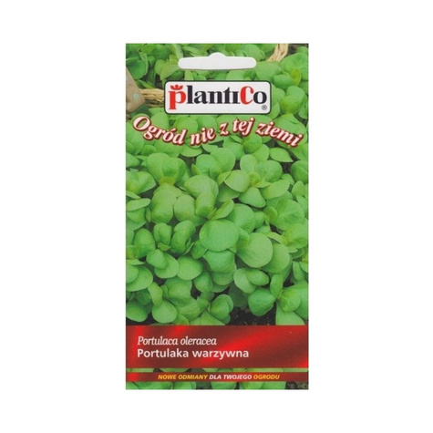 Portulaka warzywna 0,5g