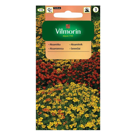 Aksamitka wąskolistna mieszanka 0,5g Vilmorin