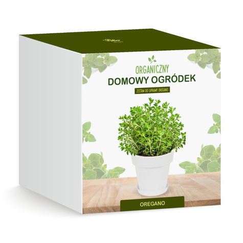 Zestaw do uprawy Oregano zioła na parapet
