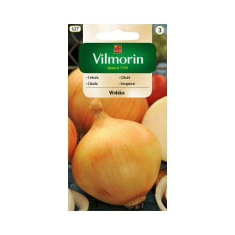 Cebula Wola Wolska poźna 5g