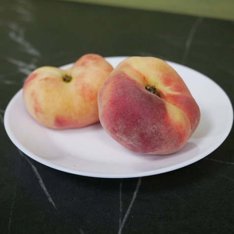 Brzoskwinia płaskowowocowa Paraguayo UFO w doniczce