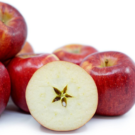 Jabłoń Jonagold De Costa w doniczce C2