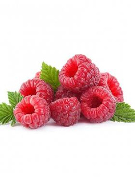 Malina powtarzająca owocowanie Plant Pack