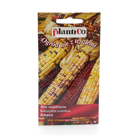 Kukurydza ozdobna Amero Kolorowe kolby 4g