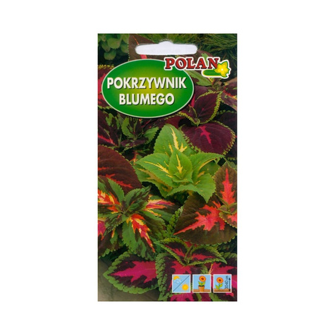 Pokrzywnik Koleus Blumego Mieszanka 0,1g